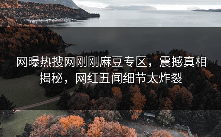 网曝热搜网刚刚麻豆专区，震撼真相揭秘，网红丑闻细节太炸裂