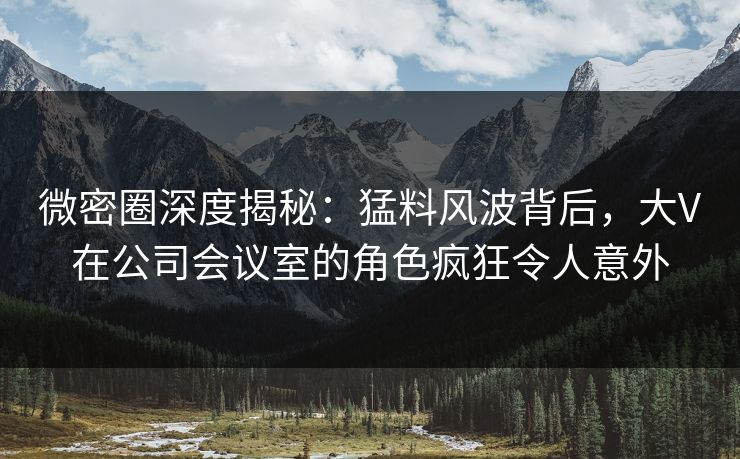 微密圈深度揭秘：猛料风波背后，大V在公司会议室的角色疯狂令人意外