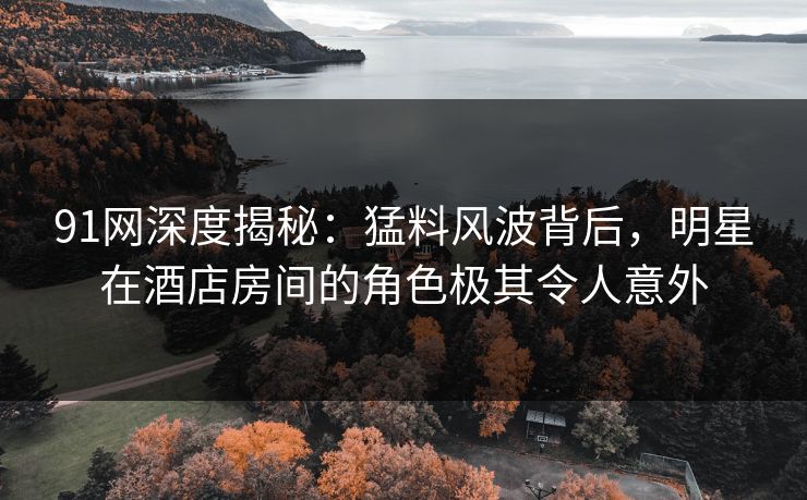 91网深度揭秘：猛料风波背后，明星在酒店房间的角色极其令人意外